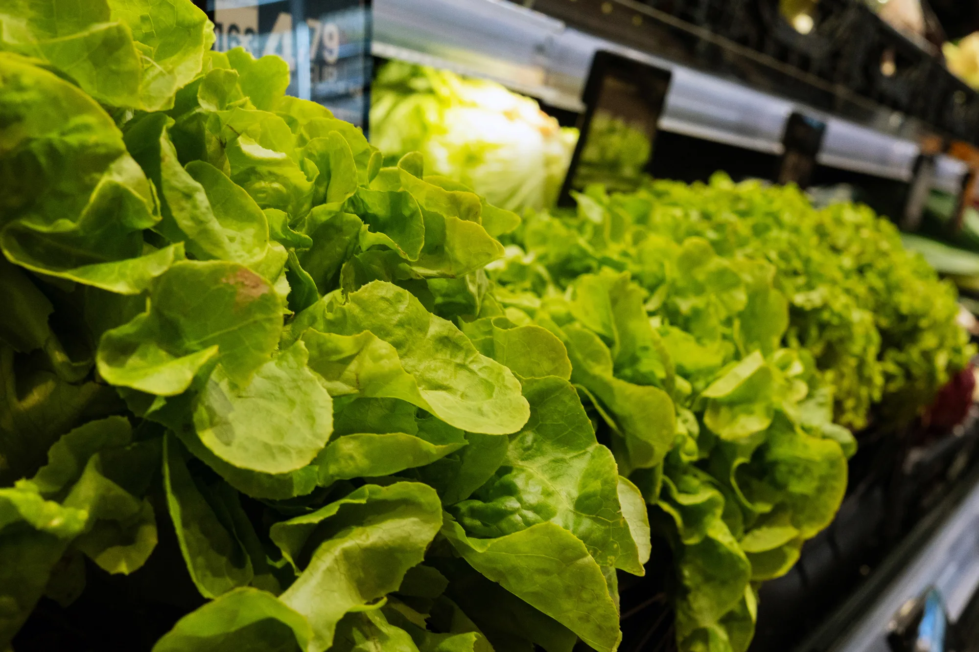Organic products and regional eco-specialties