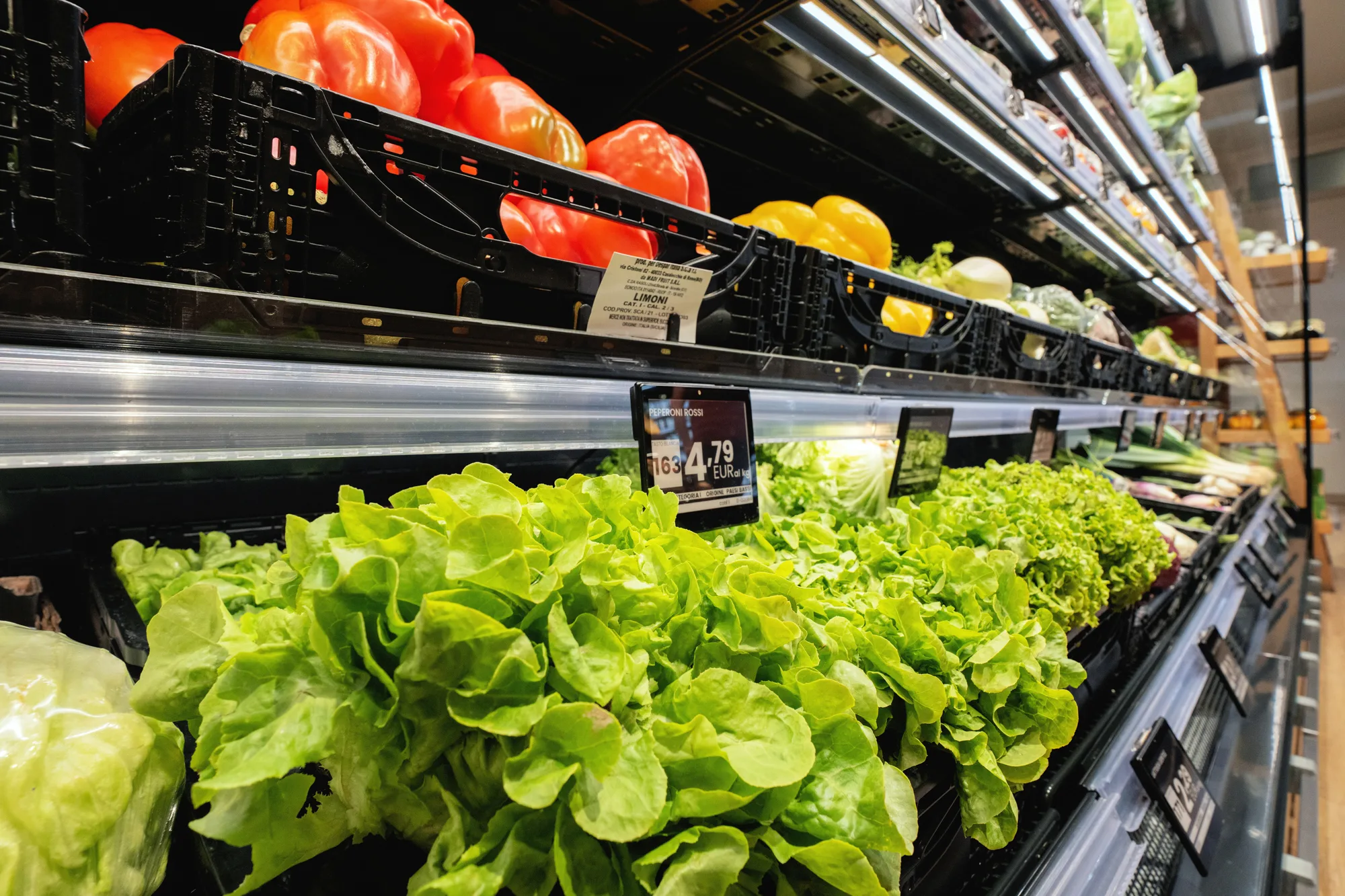 Variety of plant-based products and vegan specialties