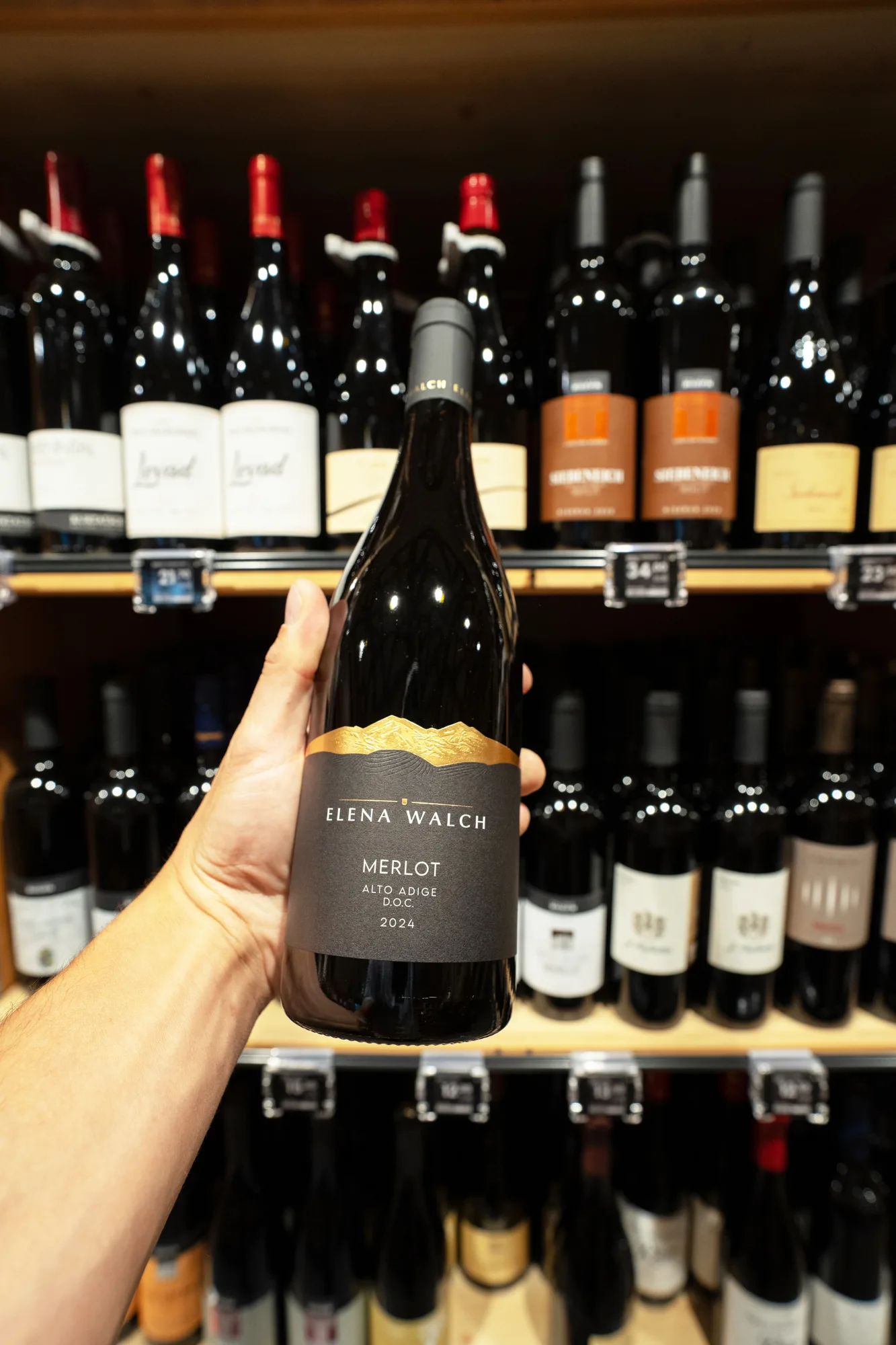 Hand-selected South Tyrolean wine bottle in the Enoteca